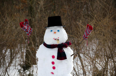 雪人庆祝极地涡旋