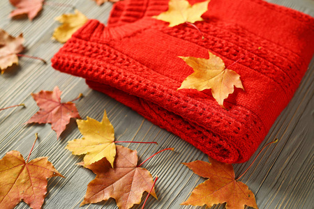 针织毛衣和叶子的秋天配件