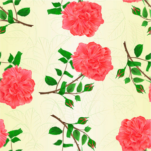 无缝质地玫瑰和花蕾粉红色的小枝，叶子在白色背景，复古矢量插图，可编辑的手绘