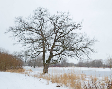 白雪公主的冬日风景