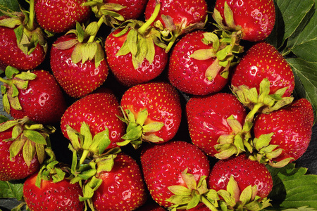 草莓在石头背景, 美味的第一类有机水果作为夏季维生素的概念