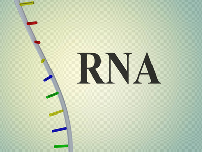 Rna基因概念