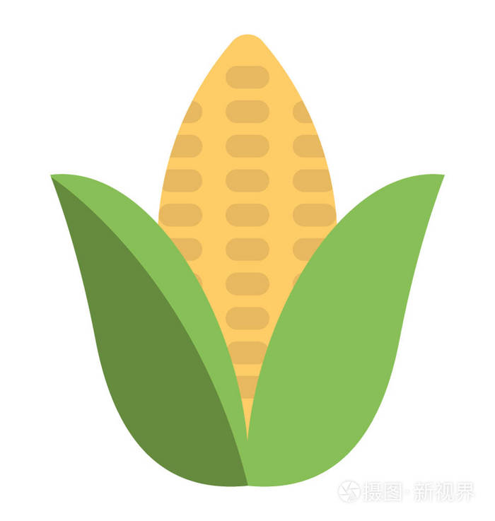 成熟玉米棒平面矢量图标