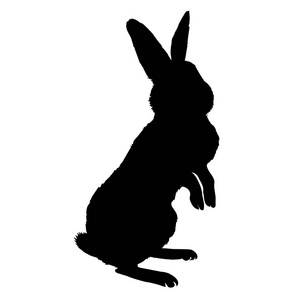 兔子剪影图片