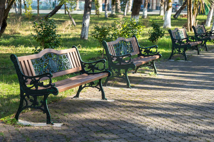 美丽阳光明媚的一天公园里的木制公园长椅