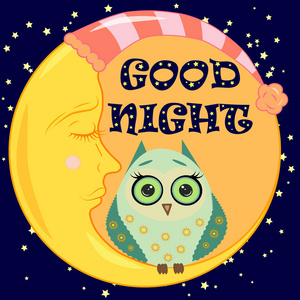 晚安卡与睡月亮和可爱的猫头鹰。矢量图