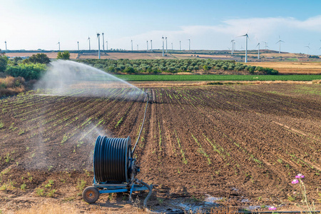 开放农村夏季灌溉系统