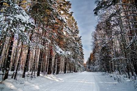 在冬天的雪路