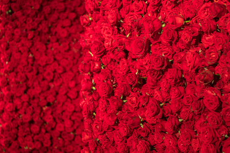 美丽的自然红玫瑰图案背景