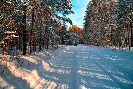 景观雪路上的