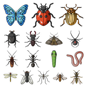 不同种类的昆虫卡通图标集为设计收藏。昆虫节肢动物矢量符号股票网页插图