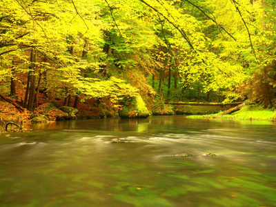 秋季自然。美丽的秋天森林与山河和五颜六色的树