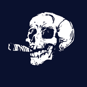 骷髅头草图墨水手绘矢量图照片