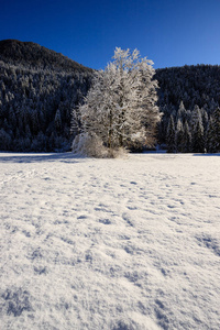 巴格维吉奥特伦蒂诺自然公园瓦尔卡纳利的冬季景观