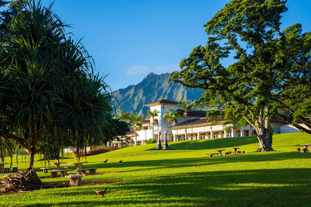 美丽的公园与夏威夷大学在晴天附近檀香山。