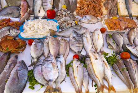 海鮮魚類摩洛哥大西洋的真正魚類市場和新鮮魚類海鮮照片