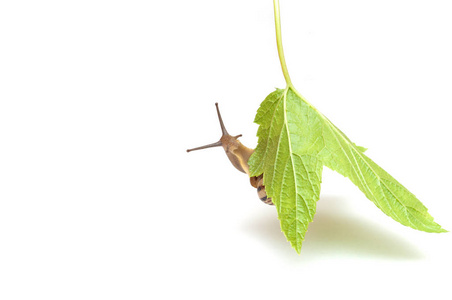 已识别到 1000 个相似素材图片