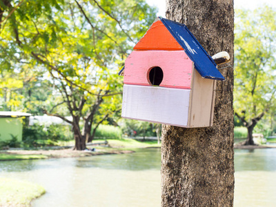 公园里五颜六色的鸟屋挂在一棵树上，鸟屋被放置在不同的地方。鸟屋森林里建了许多色彩鲜艳的鸟屋来吸引人们