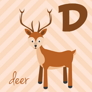 英语字母表.学会阅读.孤立向量图照片