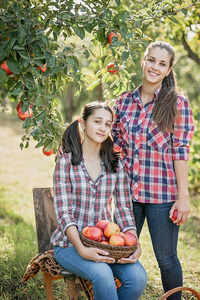 果园花园里有红苹果的女孩。 收获概念。 青少年在秋收时吃水果。