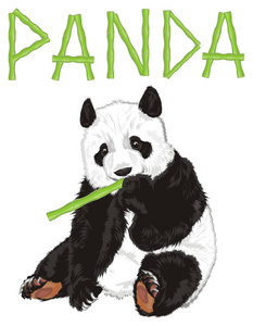 在竹子的熊猫图片