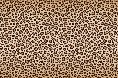 深色五彩的边框豹纹, 褐色米色带深色边框.矢量照片