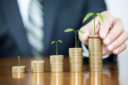 生意人手拿着金钱硬币与树增长投入照片