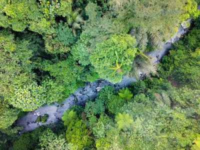 seye. Everything is green. The island of Bali, not far from Ubu