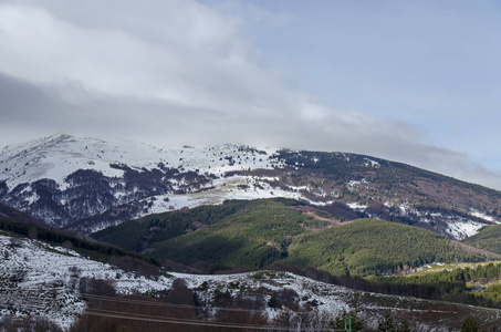 从普莱纳山到保加利亚维托沙山的壮丽景色，冬天的山，雪山，雪岭，针叶林和落叶林，欧洲