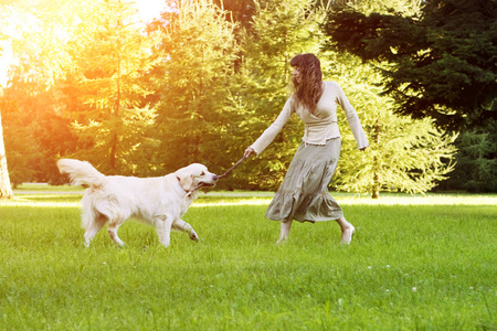 狗训练。 带着猎犬在公园玩的女孩。 女人在背景上散步，夏天的风景。 欢乐的夏天