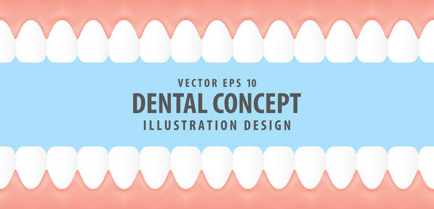 牙齿和牙龈内视图虚拟风格插图向量在 b 上