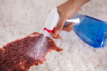 s Hand Cleaning Stain On Carpet With Detergent Spray Bottle