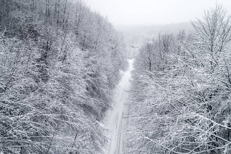 鸟瞰雪林与道路在Naoussa地区在希腊北部。 用无人机从上面捕获。