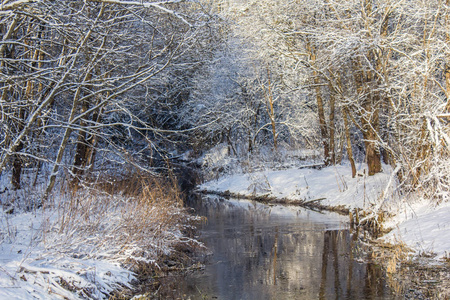 冬季霜冻，阳光明媚，风景优美，格契纳邻里，冬季公园，2018年。