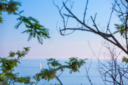 一艘帆船在碧水上，在一个非常明亮明亮的晴朗天空上荡漾，在一个安静的地方，穿过绿色的树枝，形成一个框架。