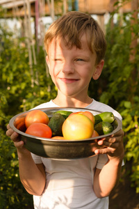 孩子们收集蔬菜收获。这个男孩在 greenhous 工作。