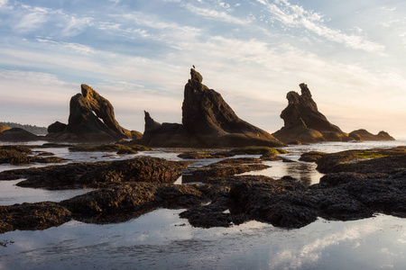 海滨风景