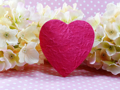 s day and beautiful pink Hydrangeas flowers