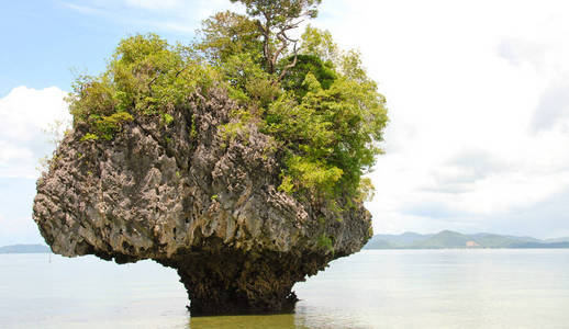 泰国海洋的植被和天空颜色