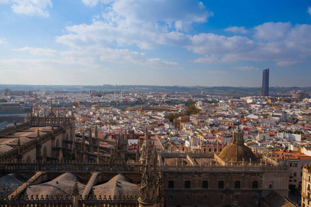 从西班牙塞维利亚大教堂顶部的鸟瞰图