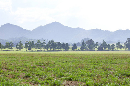 泰国山景丛林和田野