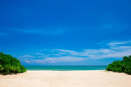 美丽的海滩和热带海