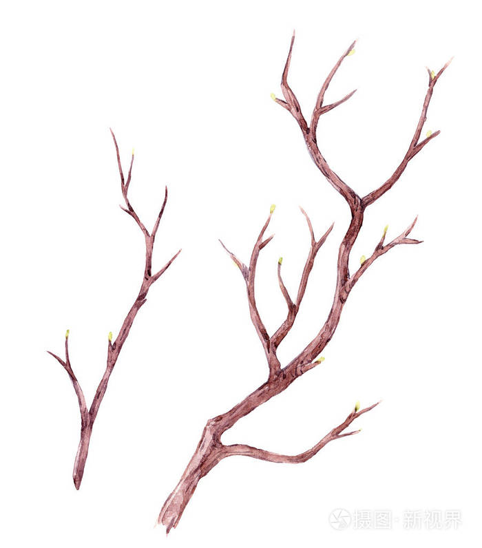 水彩树枝组成