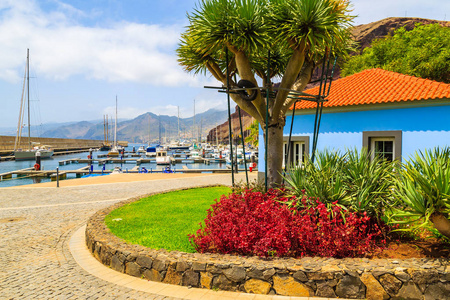 葡萄牙马德拉岛海岸的帆船码头上，五颜六色的带有热带植物的房子