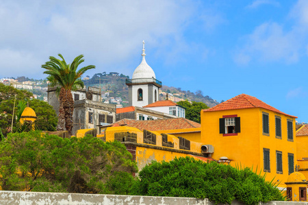 棕榈树和历史悠久的黄色城堡建筑，为塔利扎德索蒂亚戈在富查尔镇，马德拉岛，葡萄牙
