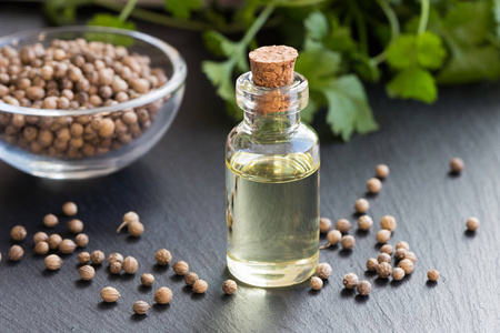 一瓶香菜籽和香菜叶的芫荽精油照片