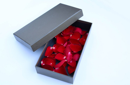 白色背景的豪华皮箱中的红色玫瑰花瓣。