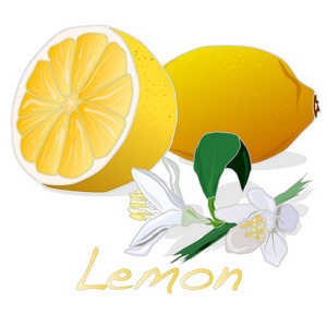 柠檬水果插图集锦