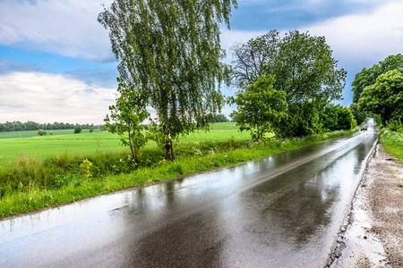 农村道路雨后湿沥青，田园风光