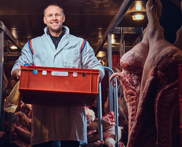 穿着白色厨房长袍的屠夫在一家肉类冷藏厂里拿着一个带猪肉的塑料盒子